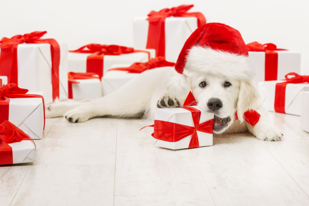 32 Gift Ideas for Fit and Healthy Moms picture 32 Gift Ideas for Fit and Healthy Moms images
