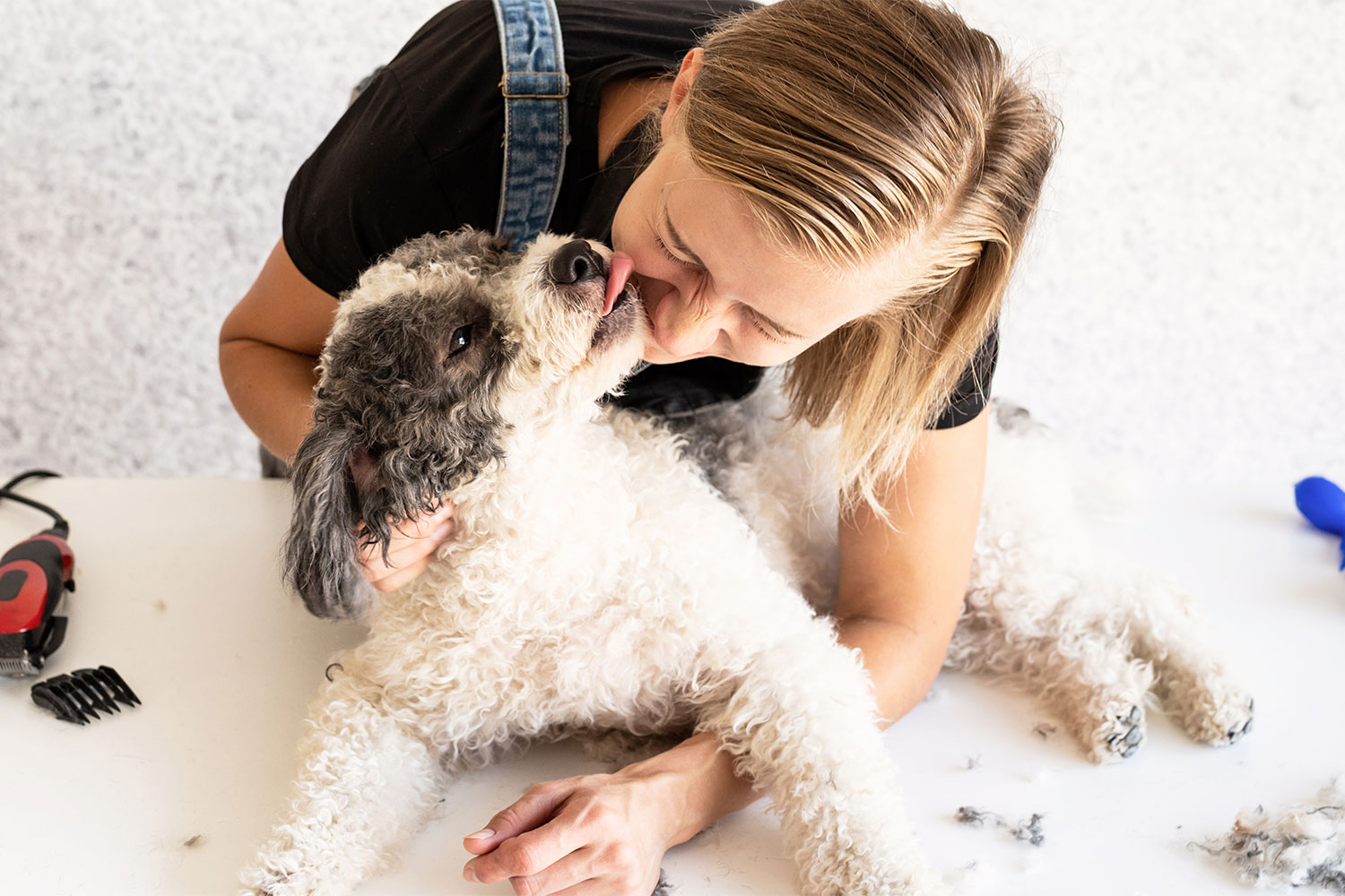 What To Ask When Selecting Puppy Groomers