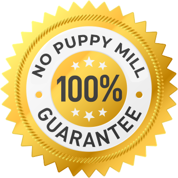 No Puppy Mill Guarantee