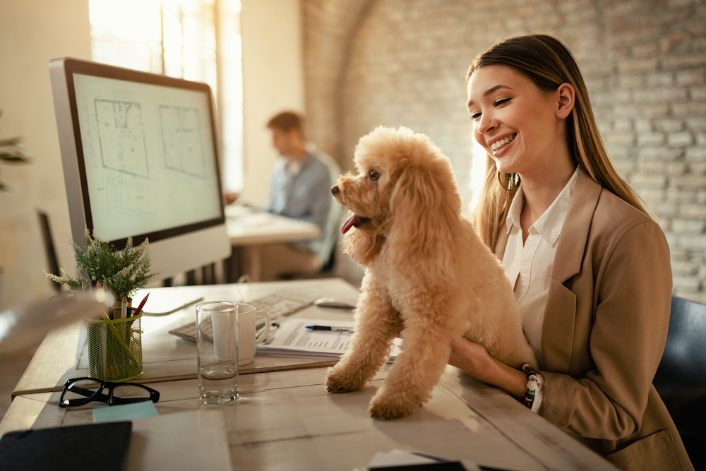 Take Your Dog To Work Day