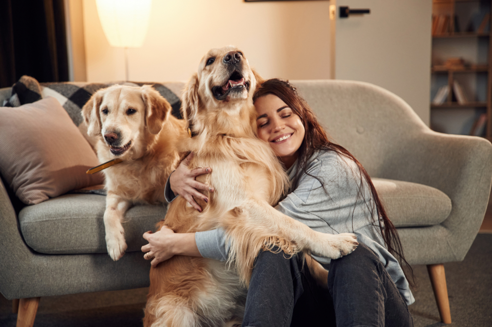 Dematting Service Dog Grooming Delray Beach